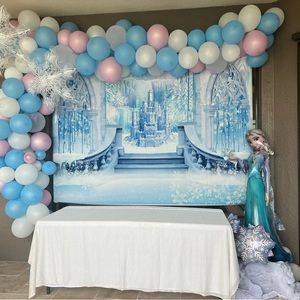 Frozen birthday party.